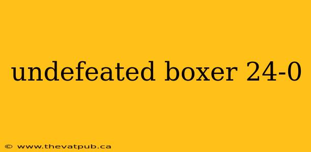 undefeated boxer 24-0