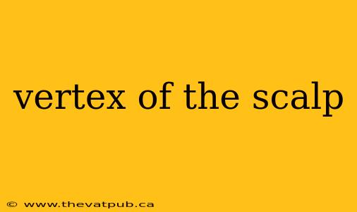 vertex of the scalp