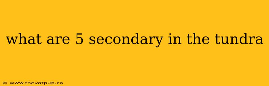 what are 5 secondary in the tundra