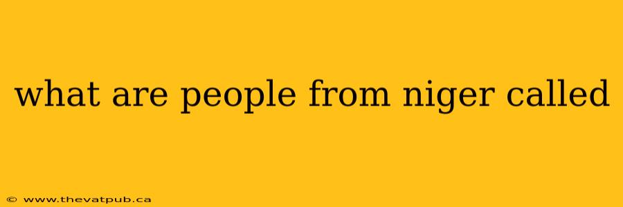 what are people from niger called
