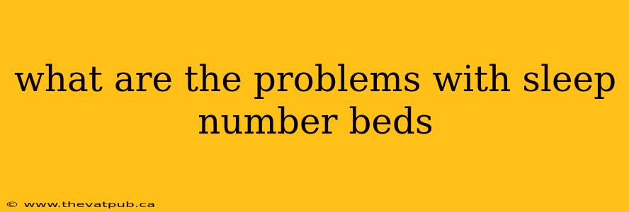what are the problems with sleep number beds