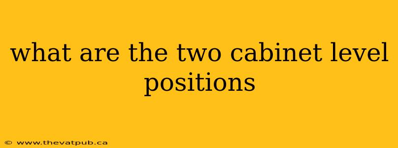 what are the two cabinet level positions