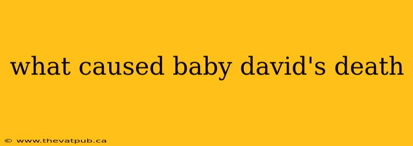 what caused baby david's death