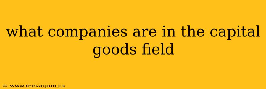 what companies are in the capital goods field