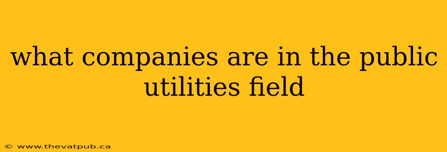what companies are in the public utilities field