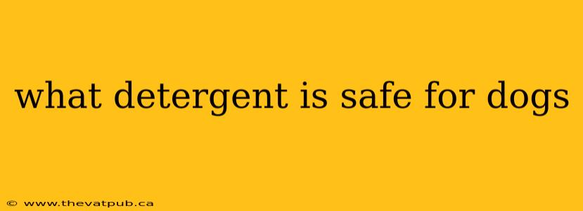 what detergent is safe for dogs