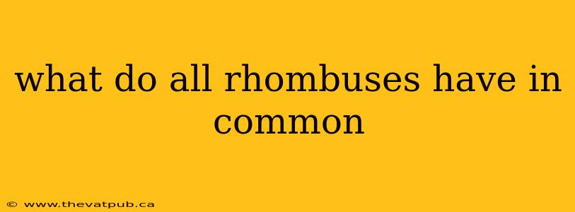 what do all rhombuses have in common