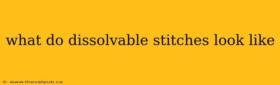 what do dissolvable stitches look like
