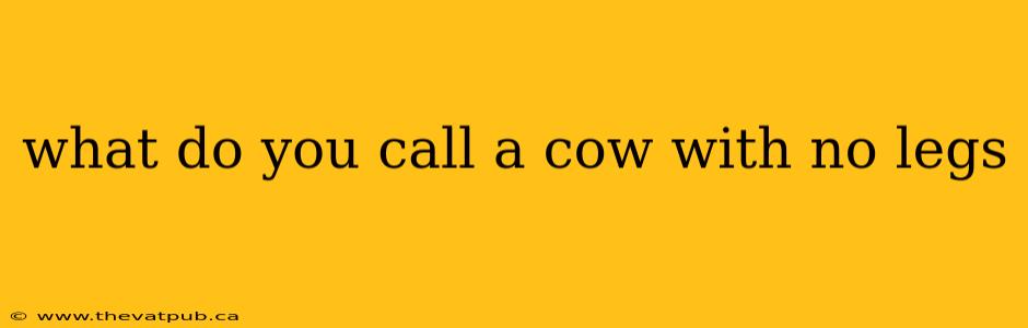 what do you call a cow with no legs