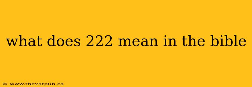 what does 222 mean in the bible