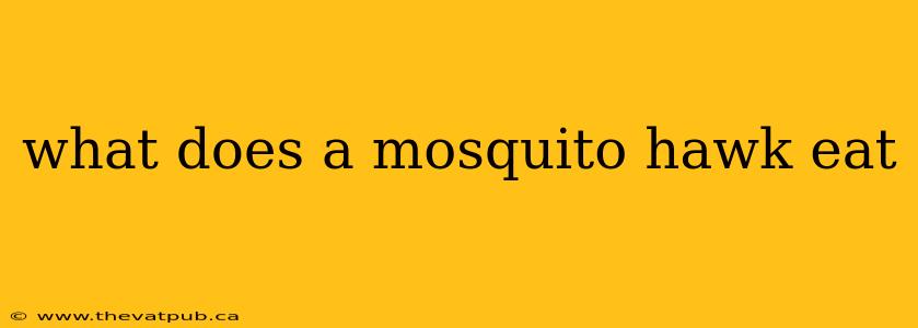 what does a mosquito hawk eat