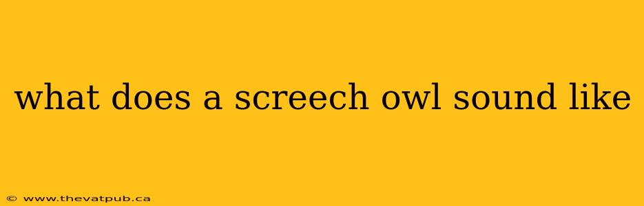 what does a screech owl sound like