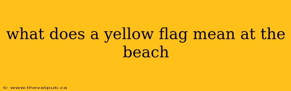 what does a yellow flag mean at the beach