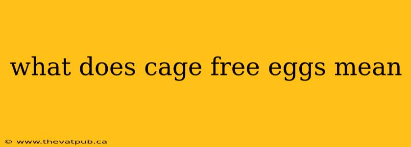 what does cage free eggs mean