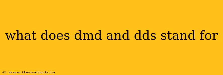 what does dmd and dds stand for