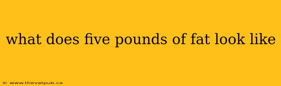 what does five pounds of fat look like