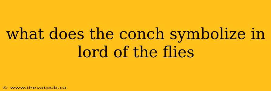 what does the conch symbolize in lord of the flies