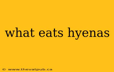 what eats hyenas