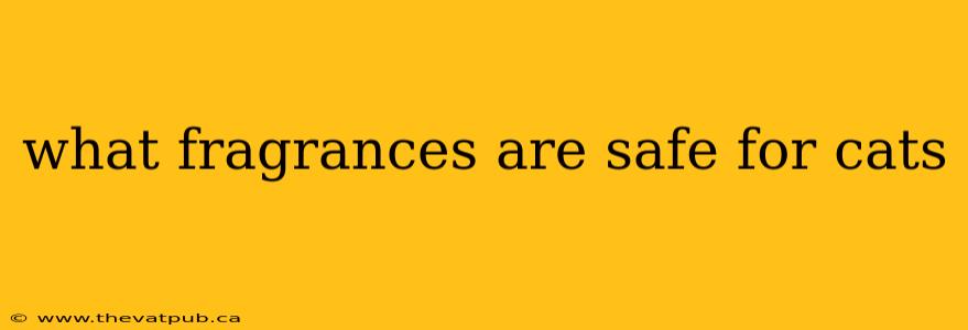 what fragrances are safe for cats