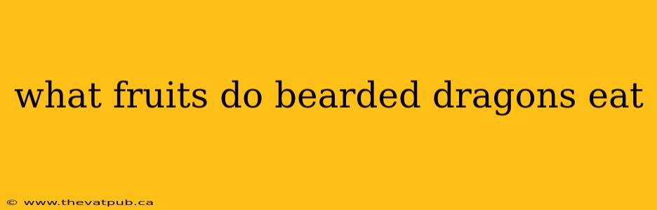 what fruits do bearded dragons eat