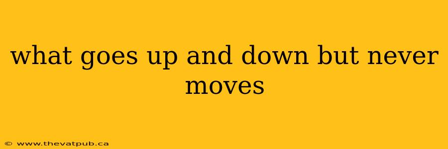what goes up and down but never moves