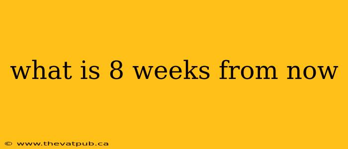 what is 8 weeks from now