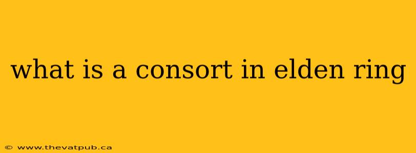 what is a consort in elden ring