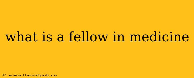 what is a fellow in medicine