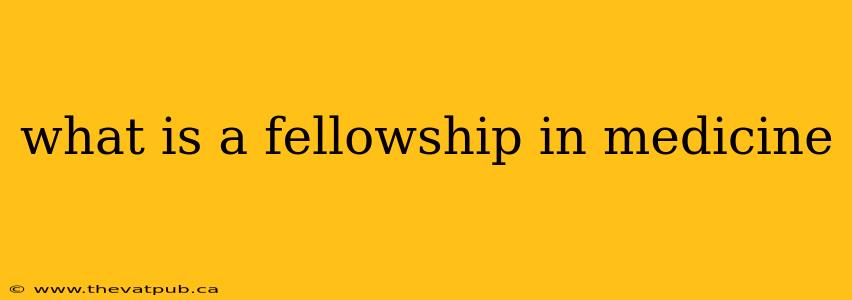 what is a fellowship in medicine
