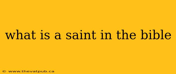 what is a saint in the bible