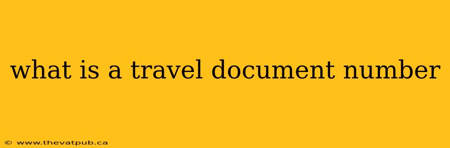 what is a travel document number