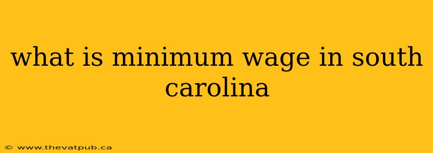 what is minimum wage in south carolina