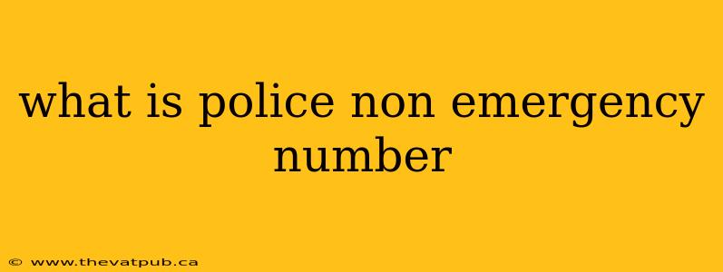 what is police non emergency number