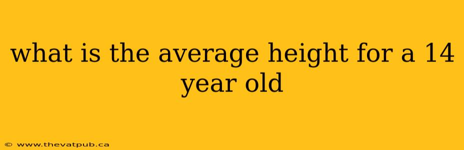 what is the average height for a 14 year old