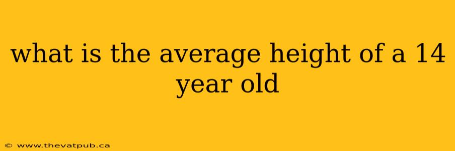 what is the average height of a 14 year old