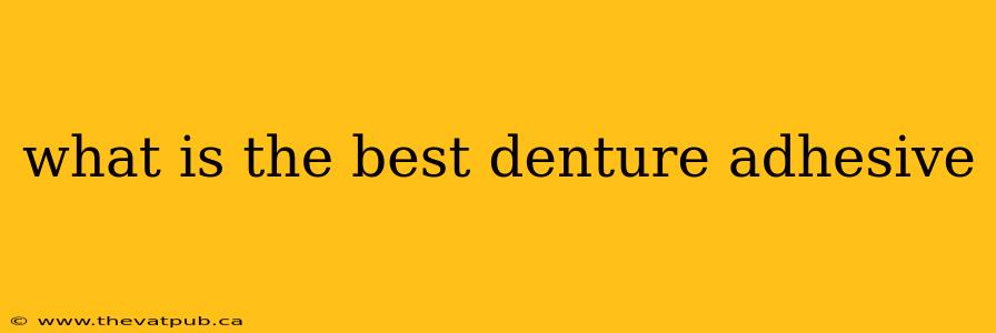 what is the best denture adhesive