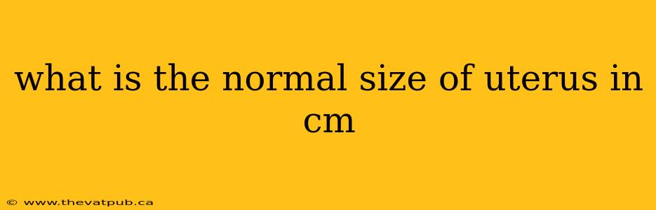 what is the normal size of uterus in cm