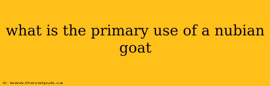 what is the primary use of a nubian goat