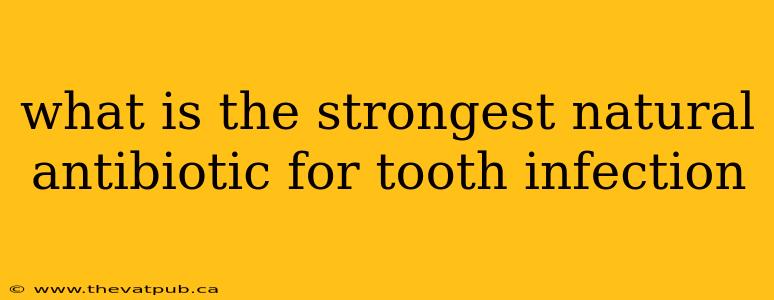 what is the strongest natural antibiotic for tooth infection