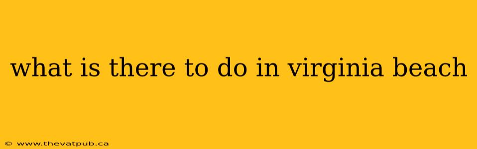 what is there to do in virginia beach