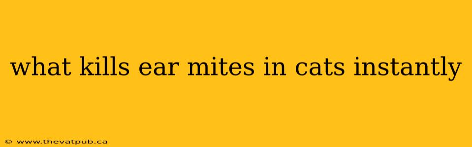 what kills ear mites in cats instantly
