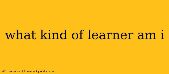 what kind of learner am i