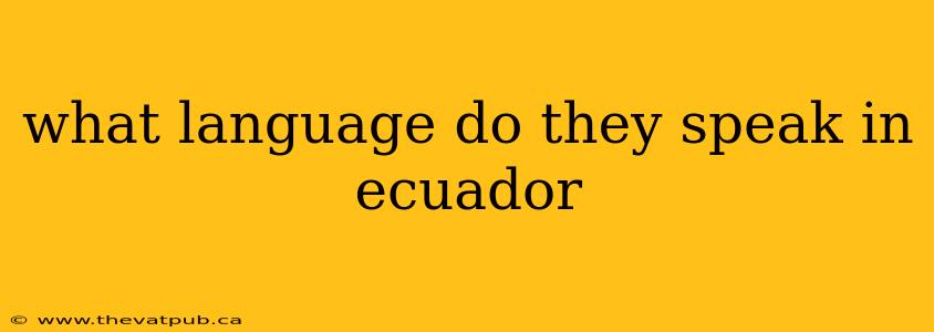 what language do they speak in ecuador