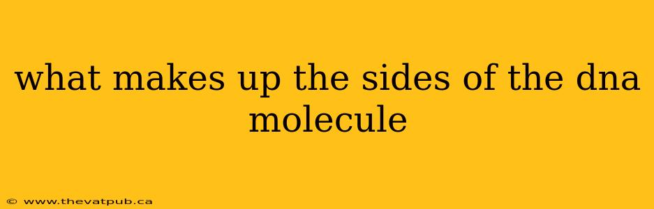 what makes up the sides of the dna molecule