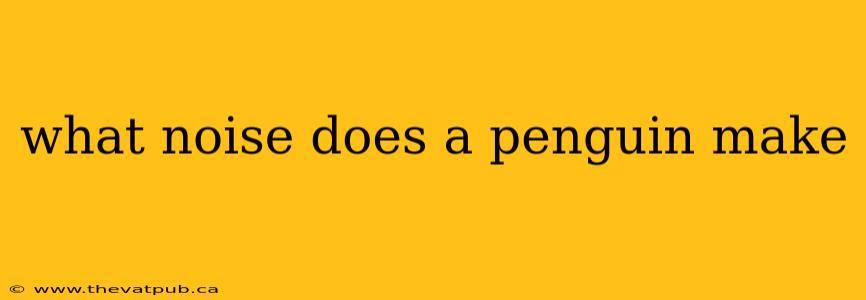 what noise does a penguin make