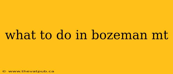 what to do in bozeman mt