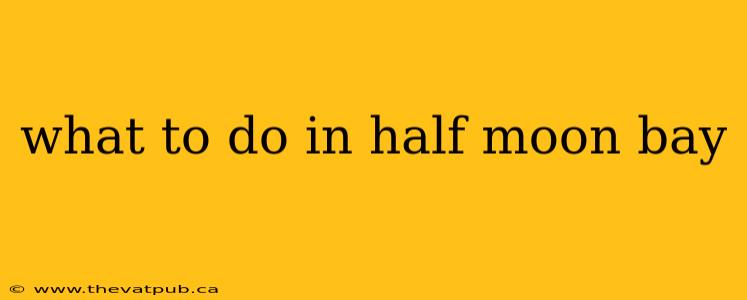 what to do in half moon bay