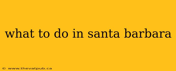 what to do in santa barbara