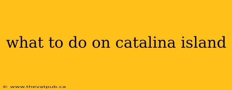 what to do on catalina island