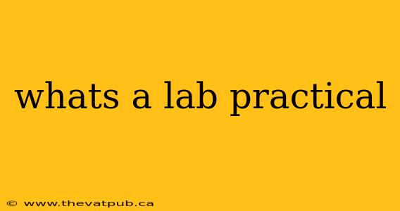 whats a lab practical